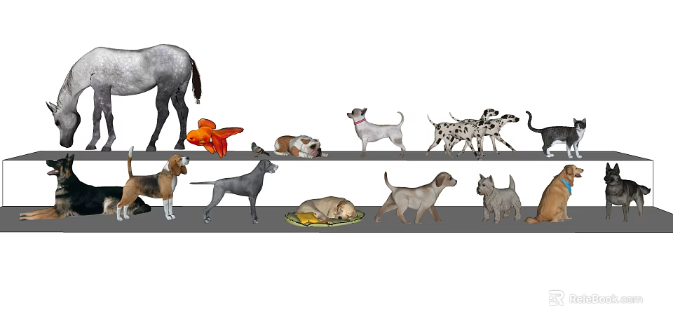 Different Reptile Species Showcasing Lizards Snakes Turtles and Geckos in Natural Environments 3d model 