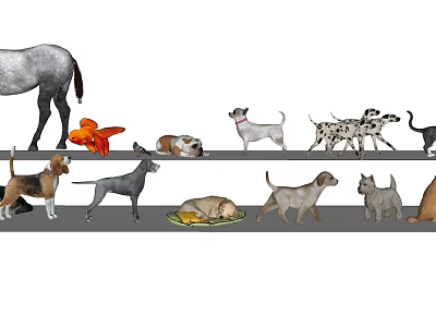 Different Reptile Species Showcasing Lizards Snakes Turtles and Geckos in Natural Environments 3d model