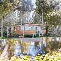 Cozy Wooden House Surrounded By Trees Near Lake With Lily Pads And Sunlight