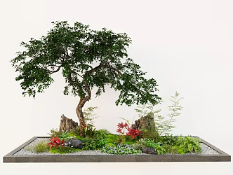 Courtyard micro-terrain plant landscape landscaping moss courtyard sketch landscape stone fern 3d model