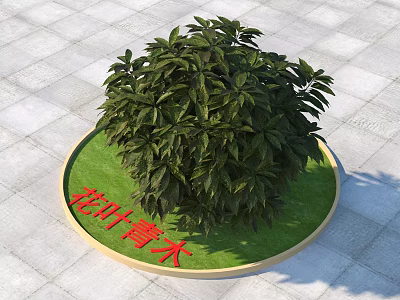 Lush Green Shrub with Dense Foliage in Circular Grass Patch on Paved Tiles 3d model