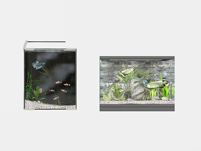 Elegant Modern Fish Tanks Displaying Small Fish Aquatic Plants Decorative Stones And Decor 3d model