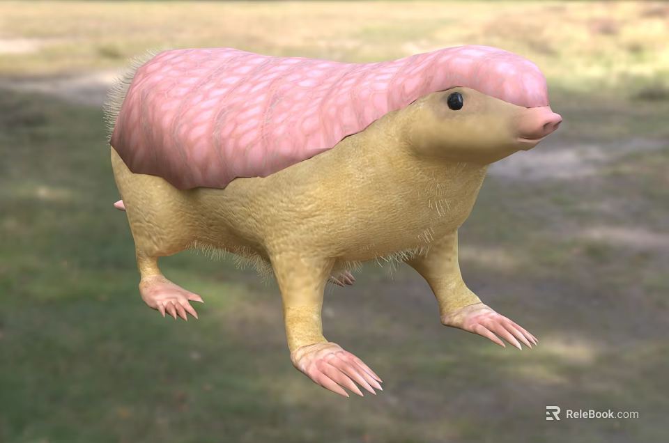 Unique Reptile With Pink Back Yellow Body And Sharp Claws On Grassy Terrain 3d model 