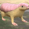 Unique Reptile With Pink Back Yellow Body And Sharp Claws On Grassy Terrain