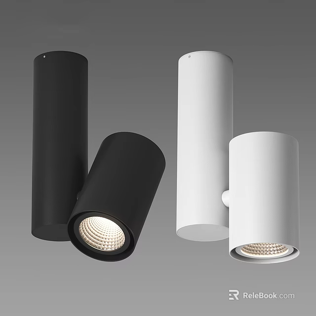 Modern Black and White Downlights and Spotlights with Sleek Cylindrical Design 3d model 