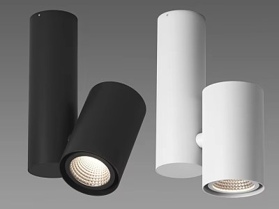 Modern Black and White Downlights and Spotlights with Sleek Cylindrical Design 3d model