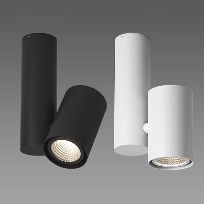 Modern Black and White Downlights and Spotlights with Sleek Cylindrical Design 3d model