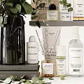 Daily Skincare And Bath Essentials On Organized Shelf With Eucalyptus Plant And Pampas Grass
