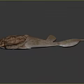 Detailed Pinkish Brown Creature Model With Textured Shell And Extended Tail On Dark Surface