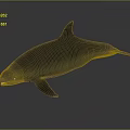 Highly Realistic Dolphin Marine Animal 3D Model Displaying Natural Swimming Posture