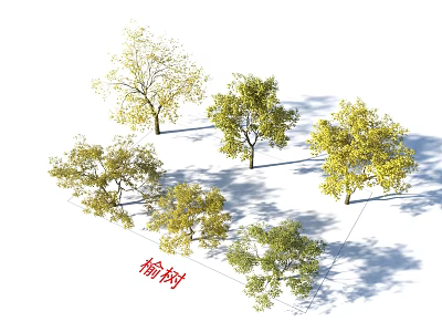 Nanmu Arbor Trees With Lush Green Foliage In Natural Landscape Design 3d model