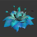 Blue And Teal Layered Flower Plant With Unopened Buds On Black Background