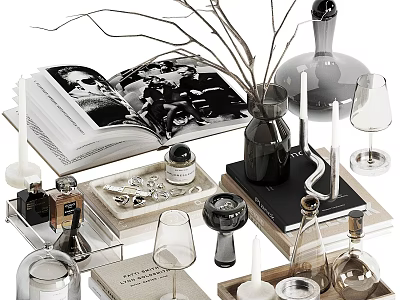 Stylish Decorative Ornament Set with Open Book Twigs Vase Candles Wine Glasses and Trays 3d model