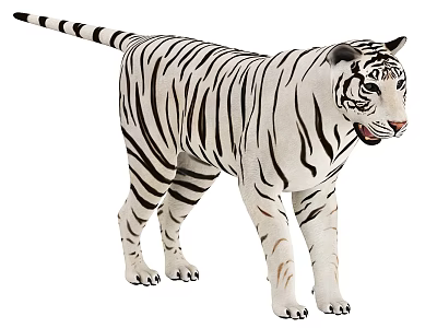 Realistic White Tiger With Black Stripes Standing On White Background 3d model
