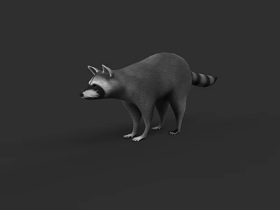 Realistic Raccoon 3D Model Standing With Gray Fur And Striped Tail 3d model