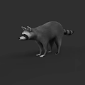 Realistic Raccoon 3D Model Standing With Gray Fur And Striped Tail