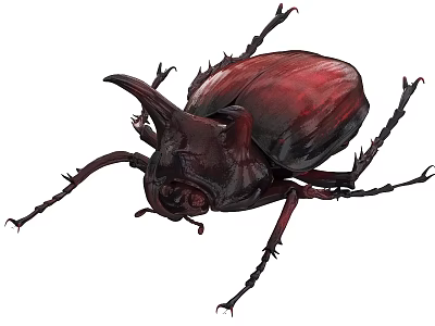 Dark Red Flying Beetle With Large Horn Shiny Exoskeleton And Long Legs 3d model