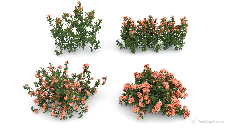 Vibrant Garden Shrubs Featuring Green Foliage And Orange Flowers In Diverse Shapes 3d model 