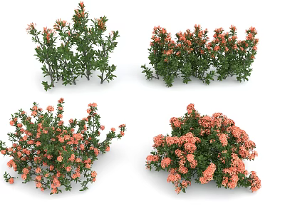 Vibrant Garden Shrubs Featuring Green Foliage And Orange Flowers In Diverse Shapes 3d model
