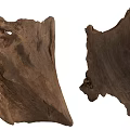 Two Natural Wood Pieces Displaying Rustic Texture And Organic Shape For Decoration