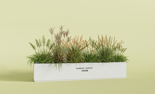 combination of flowers and plants combination of plants green plants potted reed dogtail grass 3d model