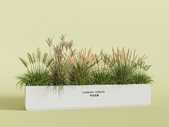 combination of flowers and plants combination of plants green plants potted reed dogtail grass 3d model