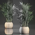 Garden Decor With Green Plants In Woven Pots For Home Garden Natural Accent