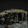 Natural Garden Landscape With Winding Stone Path Rocky Terrain And Green Grass