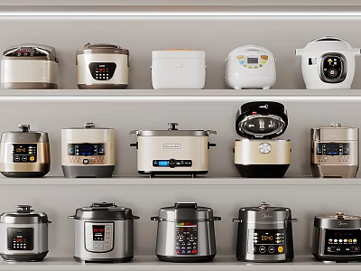 Modern Stylish Rice Cookers And Pressure Cookers As Kitchen Appliances On Shelves 3d model