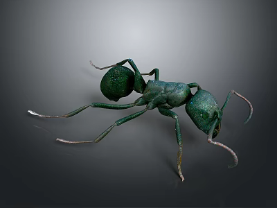 Green Realistic Ant With Detailed Antennae Legs And Abdomen On Gray Surface 3d model