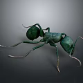 Green Realistic Ant With Detailed Antennae Legs And Abdomen On Gray Surface