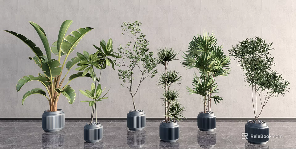 Various Lush Potted Plants Arranged In Indoor Display With Gray Pots And Green Foliage 3d model 
