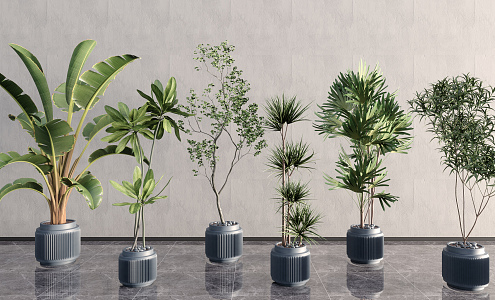 Modern Potted Plant 3d model