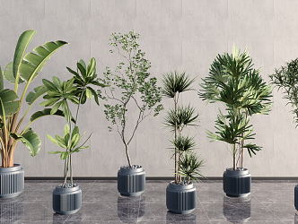 Modern Potted Plant 3d model