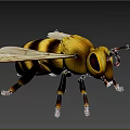 Bee Flying 3d model