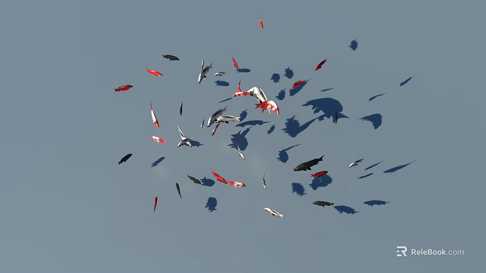 Colorful Koi Fish Swimming with Red White Black Colors on Blue Water Surface and Shadows 3d model 