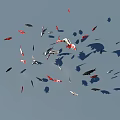 Colorful Koi Fish Swimming with Red White Black Colors on Blue Water Surface and Shadows