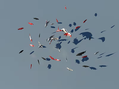 Colorful Koi Fish Swimming with Red White Black Colors on Blue Water Surface and Shadows 3d model