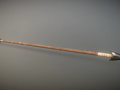 Vintage Handmade Spear With Long Wooden Shaft Metal Tip And Wrapped Handle 3d model