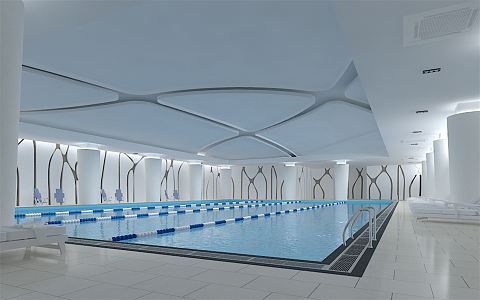 Modern Swimming Pool 3d model