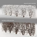 Snow Covered Shrubs In Winter Garden With Neat Hedge And White Landscape