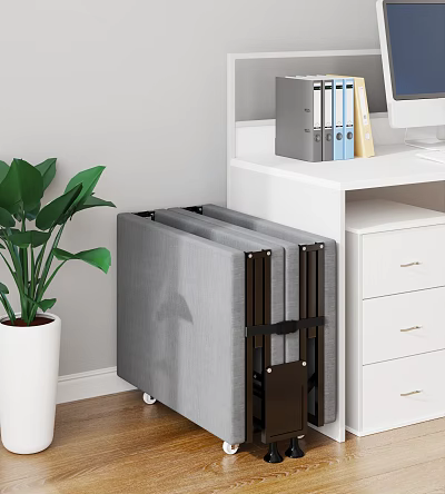 Grey Folding Screen With White Desk Green Plant And File Folders In Room 3d model