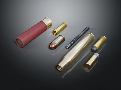 Different Types Of Weapons Ammunition With Metal Casings And Gold Red Colors 3d model