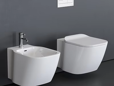 Modern White Ceramic Wall Mounted Toilet With Sink On Gray Bathroom Wall 3d model