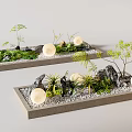 Decorative Indoor Landscape With Long Stone Trays Plants Rocks Pebbles And Round Lights