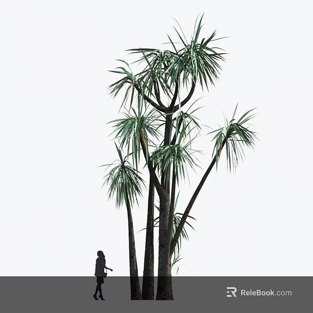Tall Arbor With Long Palm Like Leaves And Person Silhouette Nearby 3d model 