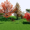 Vibrant Trees Growing With Red Orange Green Leaves On Green Grassland