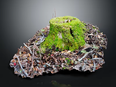 Rustic Wooden Stone Stump Decor With Green Moss Dry Twigs And Leaves 3d model