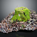 Rustic Wooden Stone Stump Decor With Green Moss Dry Twigs And Leaves