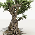 ancient tree banyan tree evergreen banyan tree whisker fine leaf banyan vine tree big tree 3d model